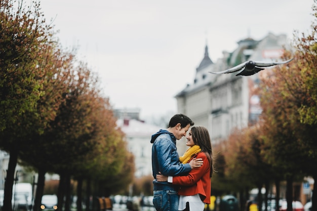 The Lovely Couple Embracing in a Romantic Alley – Free Stock Photo, Download for Free