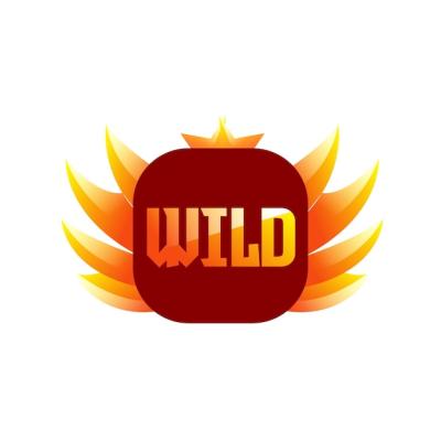 Fireball Graphic Featuring the Word “Wild” â Free Download