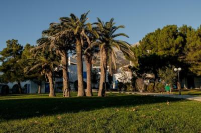 Spring Park with Palm Trees Against the Backdrop of Montenegro Mountains – Free Download