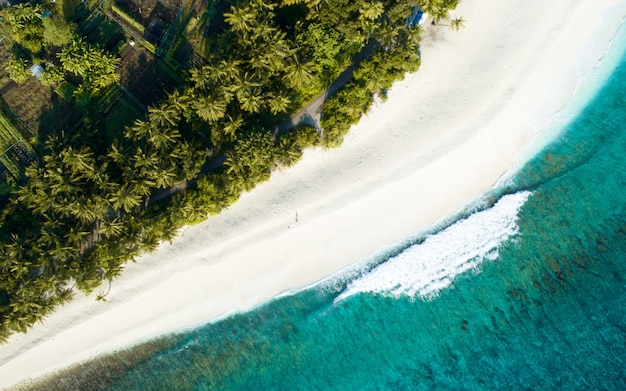 Aerial View of the Maldives: Stunning Beaches, Crystal Clear Sea, and Lush Jungles – Free Download