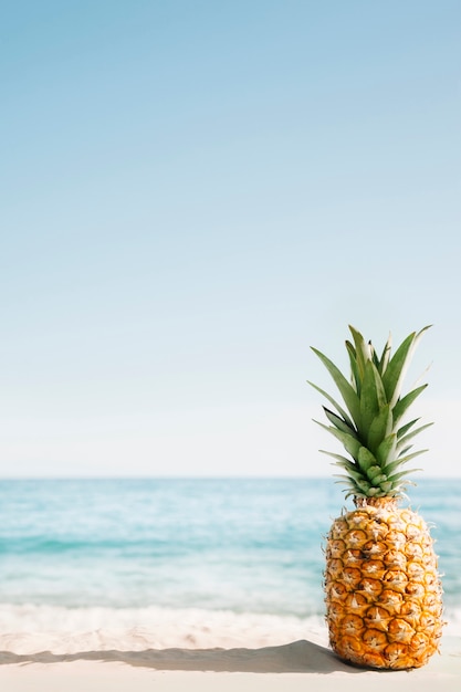 Beach Background Featuring Pineapple – Free Stock Photo for Download