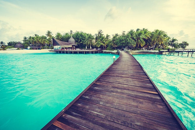 Exotic Summer Landscape of Paradise Island – Download Free Stock Photo