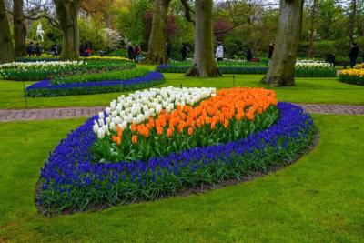 Tulips and Other Flowers in Keukenhof Park, Lisse, Holland – Free Download