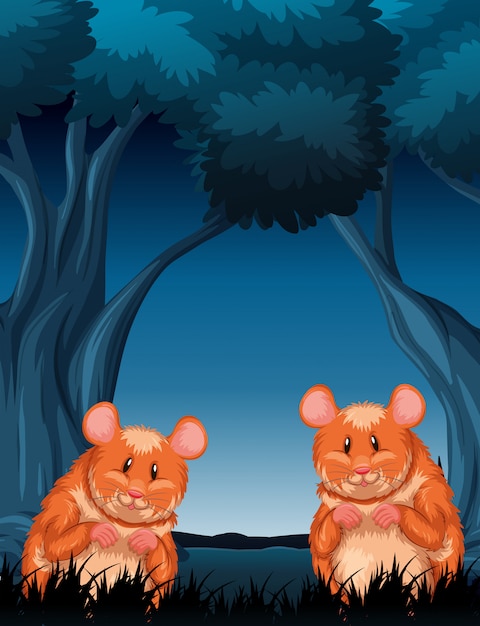 Chimpmunks in Nature: Wood Night Scene – Free Download