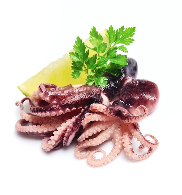 Close-Up of Octopus Salad – Free Stock Photo for Download