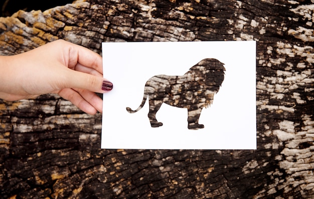 Hand Hold Lion Paper Carving on Wooden Background – Free Download