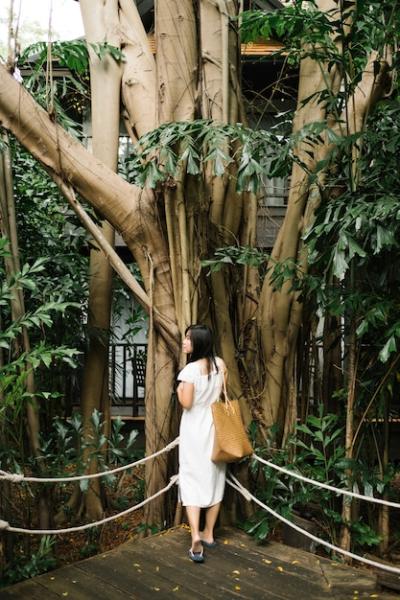 Girl in Forest – Free Stock Photo for Download