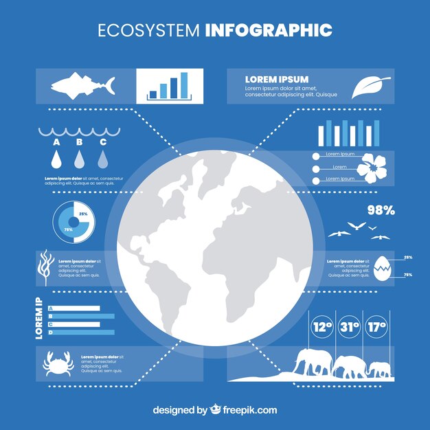 Modern Ecosystem Infographic in Flat Design – Free Download