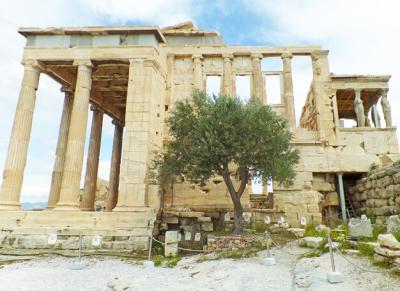 Pandroseion and the Erechtheum with the Sacred Olive Tree on the Acropolis of Athens, Greece – Free Stock Photo for Download