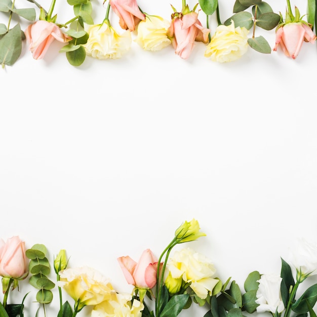 Flower Borders on White Background – Free Download