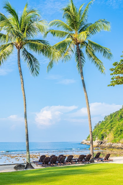 Beautiful Tropical Coconut Palm Tree and Beach Chair by the Ocean – Free Download