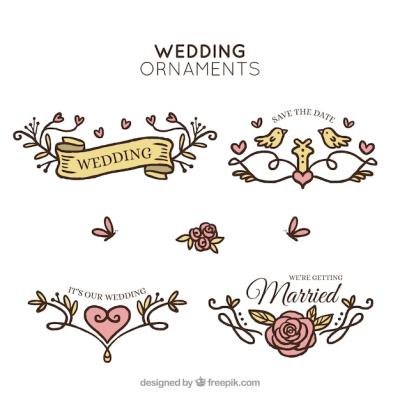 Colorful Hand-Drawn Wedding Ornaments – Free Stock Photo for Download