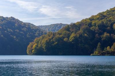 Forest in the Hills Near Plitvice Lake in Croatia – Free Stock Photo for Download