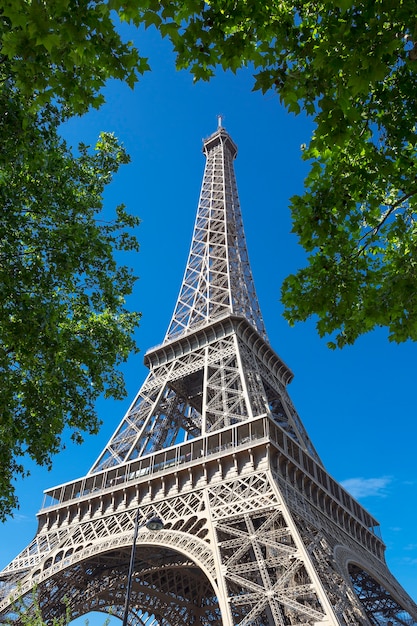 Eiffel Tower Surrounded by Trees Under a Blue Sky – Free Stock Photo, Download for Free