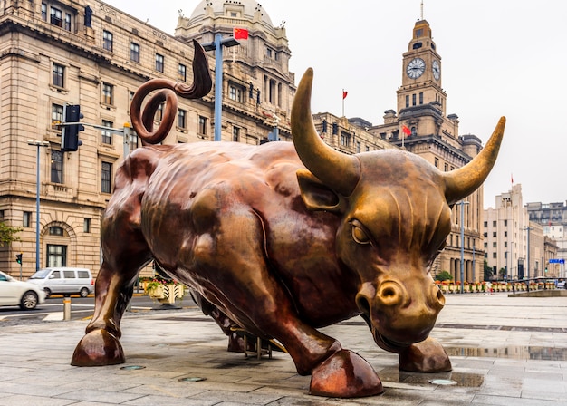 Bull in Town – Free Stock Photo for Download