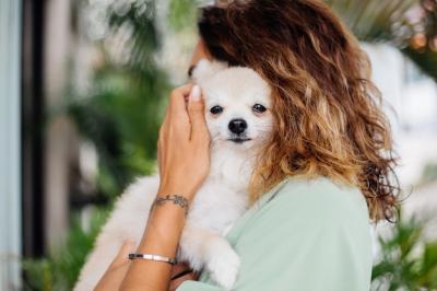 Outdoor Portrait of a Tanned European Woman with a Happy Pomeranian Dog – Free Download