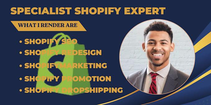 I Will Do Shopify Redesign, SEO, Marketing, Promotion, Dropshipping