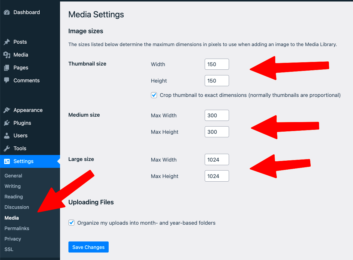 What Is Thumbnail Size in WordPress