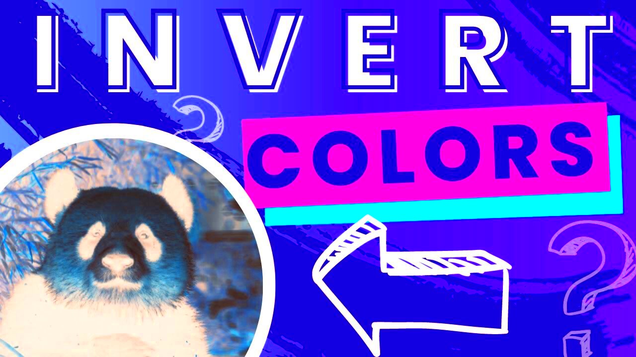 Invert Colors In Canva  A Complete Beginner Guide  YouTube