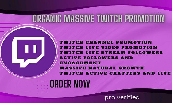 I Will Promote Your Twitch Channel to Boost Video Marketing Views and Gain Followers