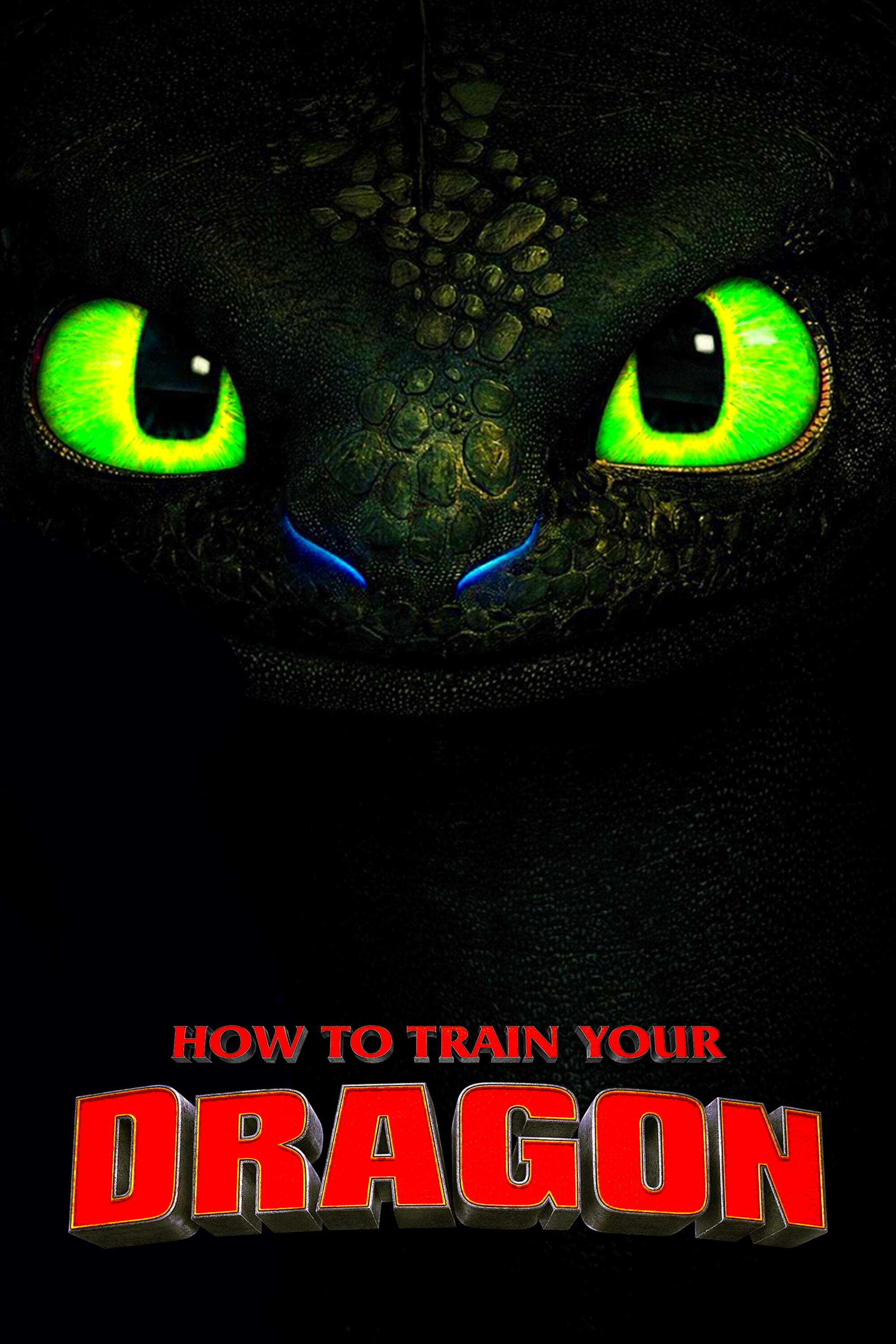 How to Train Your Dragon Collection  Posters  The Movie Database TMDB