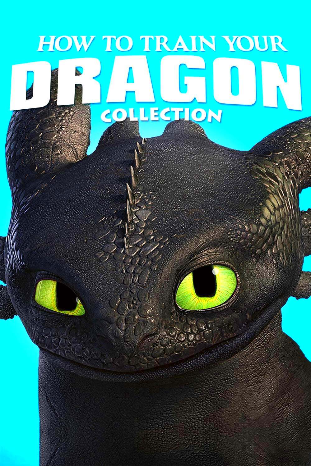 How to Train Your Dragon Collection  Posters  The Movie Database TMDB