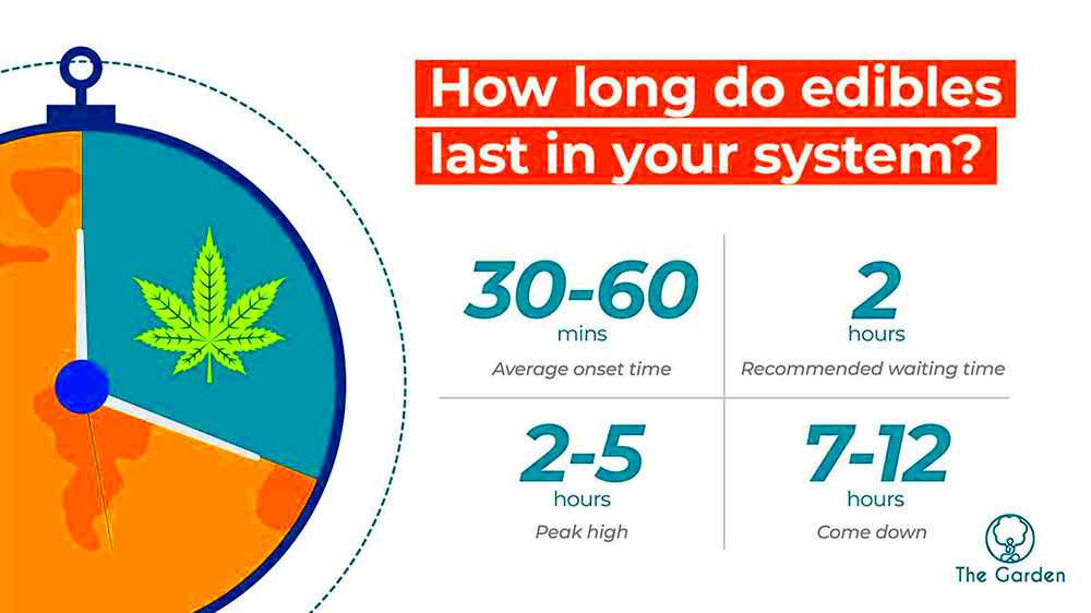 How Long Do Edibles Last An Edibles Expert Guide