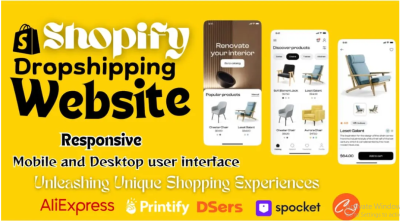 I Will Redesign, Revamp, and Clone Your Shopify Dropshipping Store