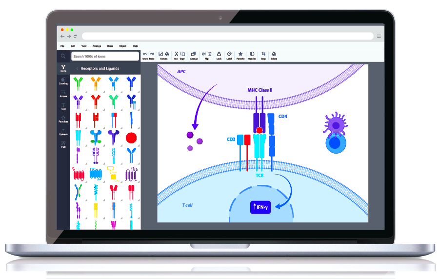 BioRender App