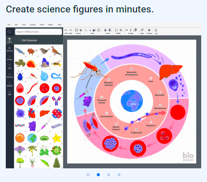 Create Professional Scientific Figures with BioRender  Dana Health 