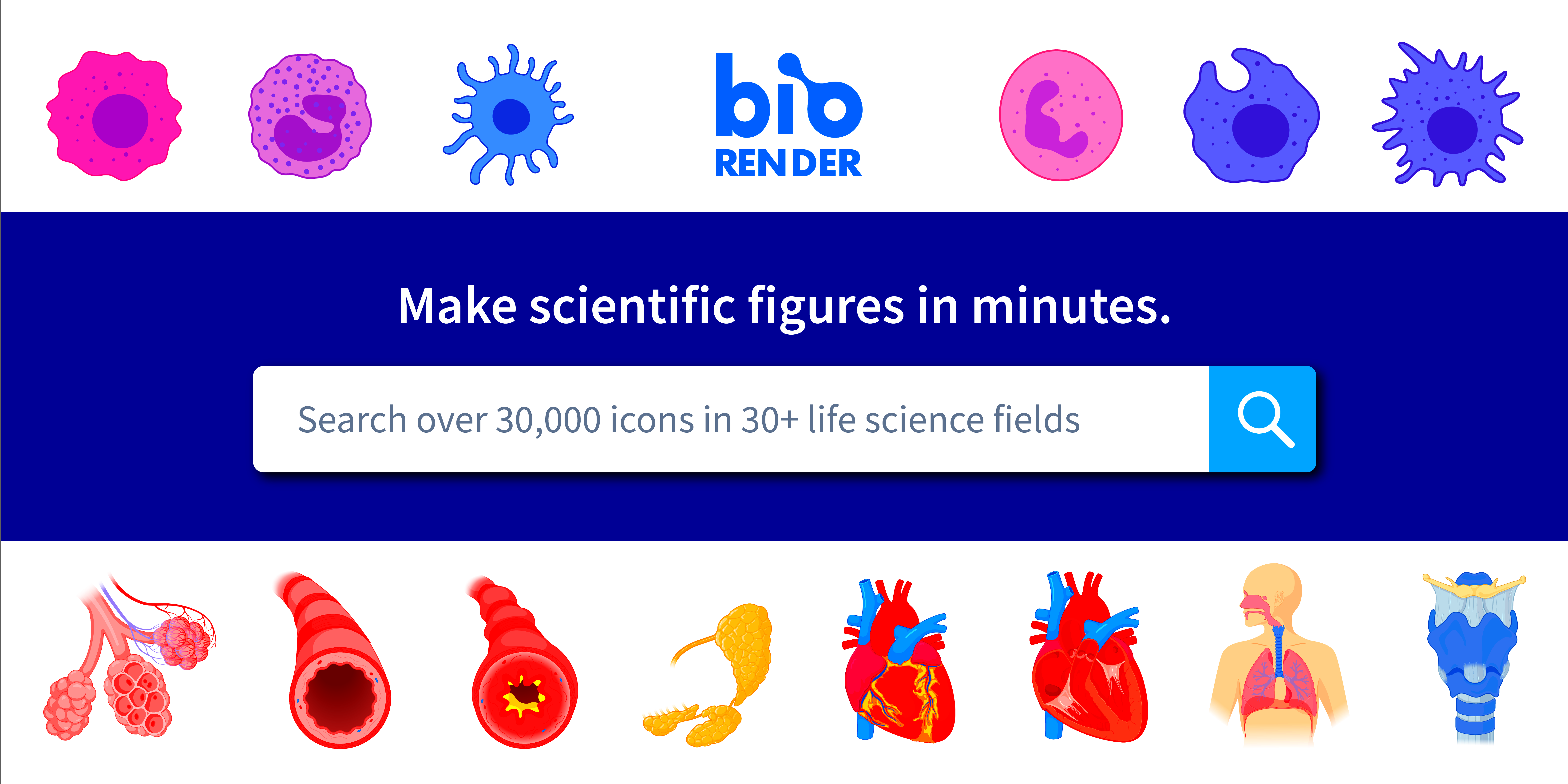 Free Membranes Icons Symbols  Images  BioRender