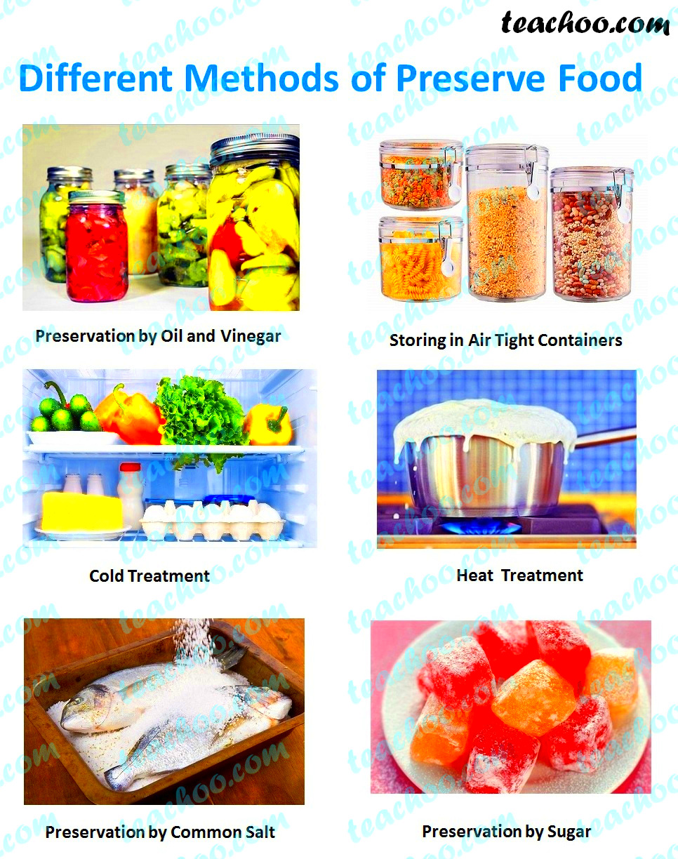 Food Preservation  Different methods explained  Teachoo