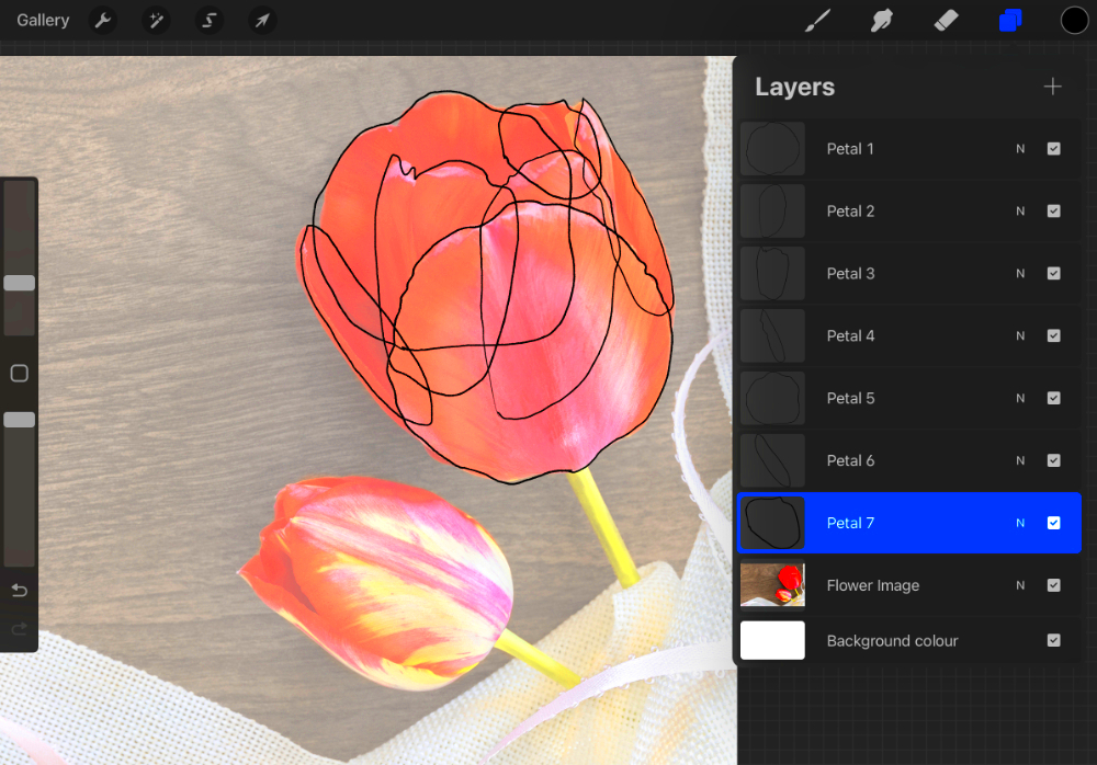 How to Trace an Image in Procreate  Design School