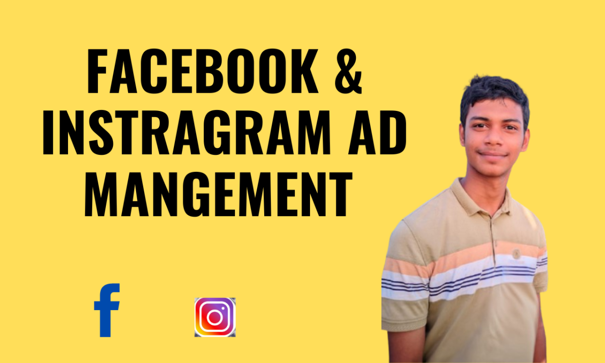 I Will Facebook and Instagram Ads Campaign Manager