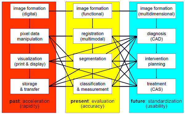 Medical Image Processing