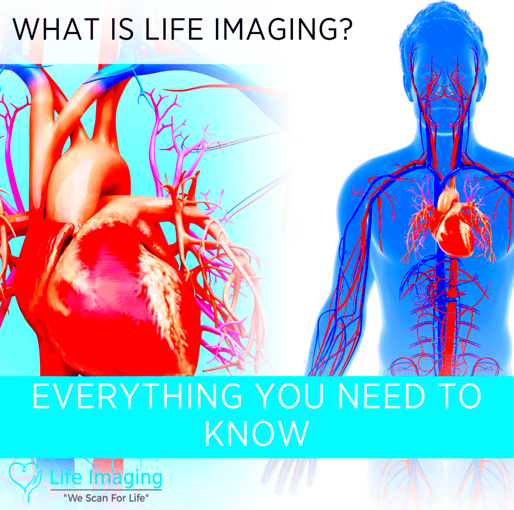 What is Life Imaging Everything You Need to Know  Life Imaging FLA