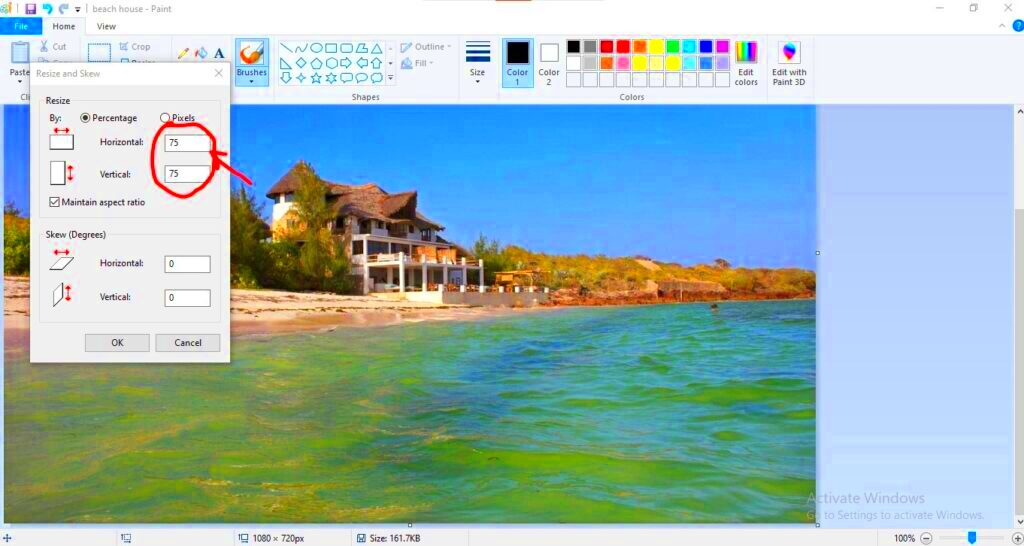 Step by Step Guide on How to Resize an Image in Paint