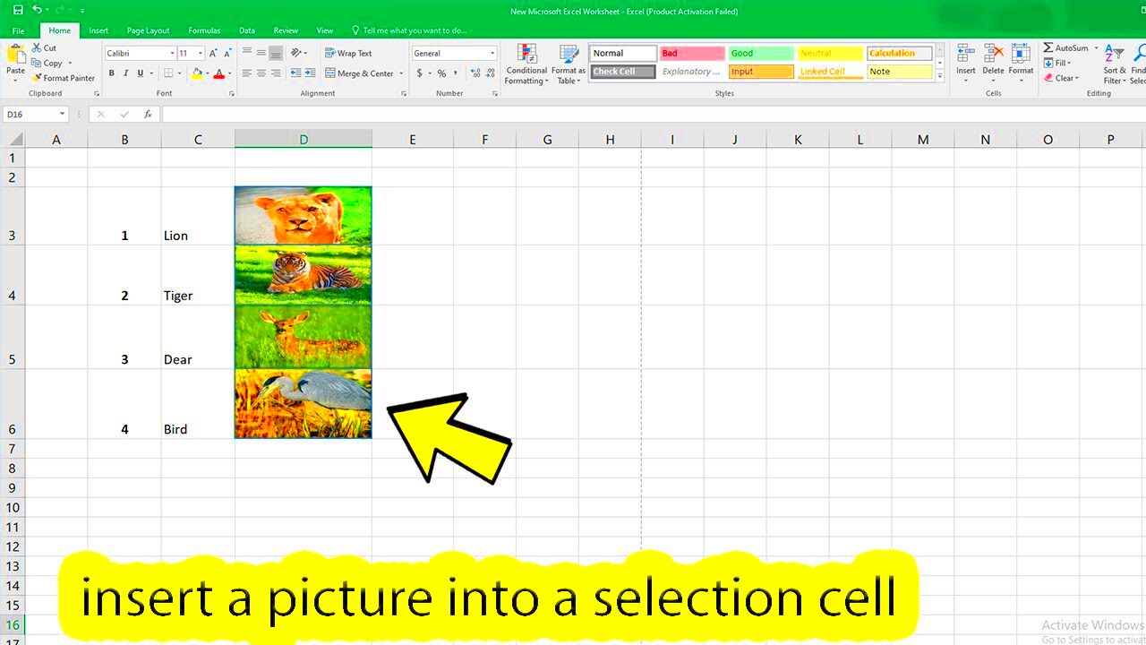 How to insert image in excel cell  YouTube