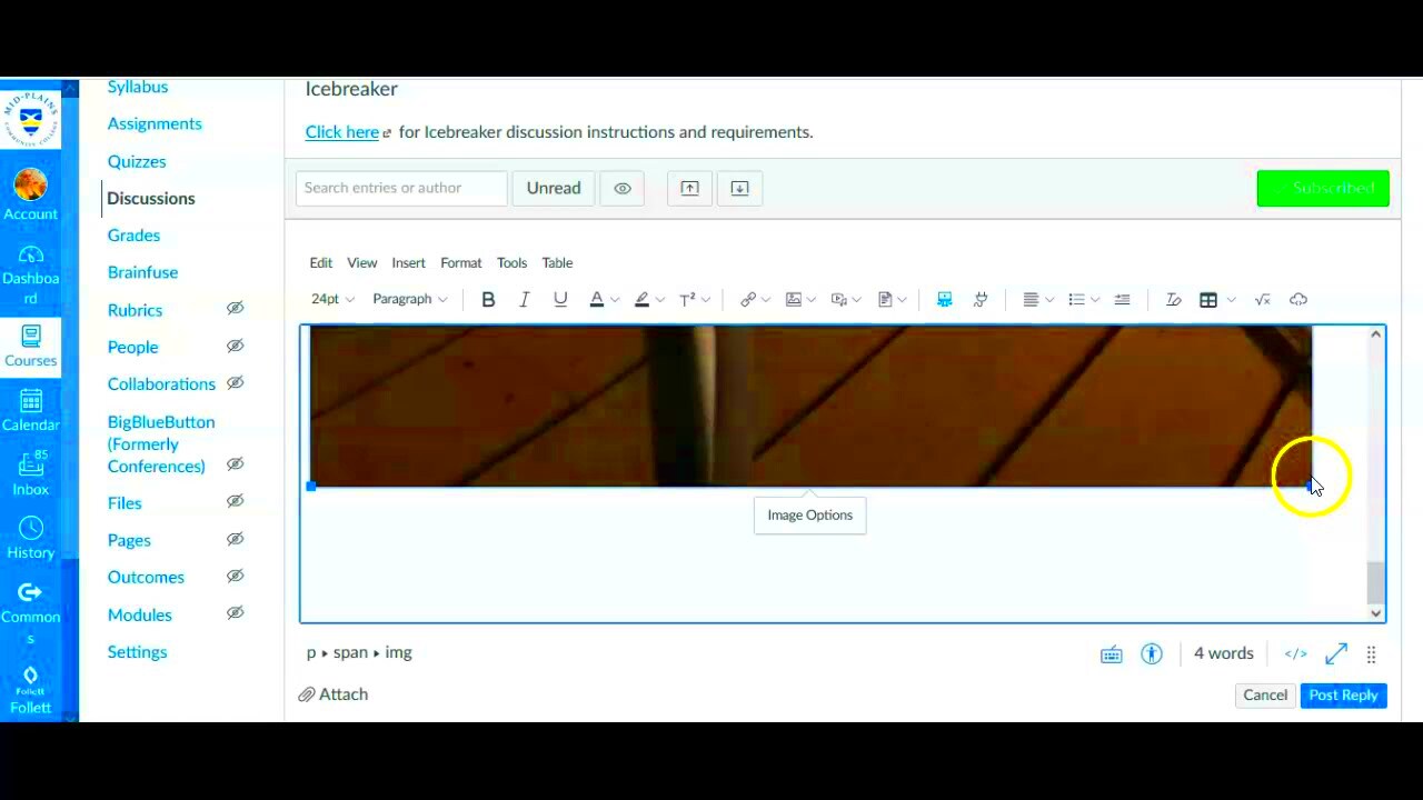 How to insert a photo image in Canvas discussion board  YouTube
