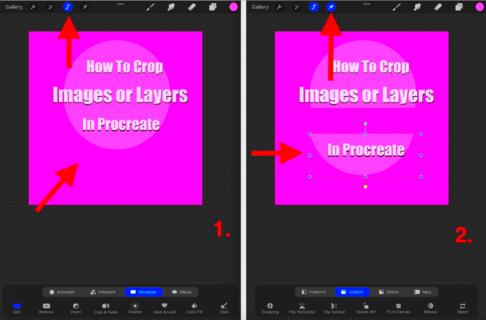 How to Crop Canvas Images or Layers in Procreate