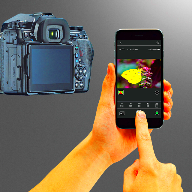 Image Sync  APP  DOWNLOAD  SUPPORT  RICOH IMAGING