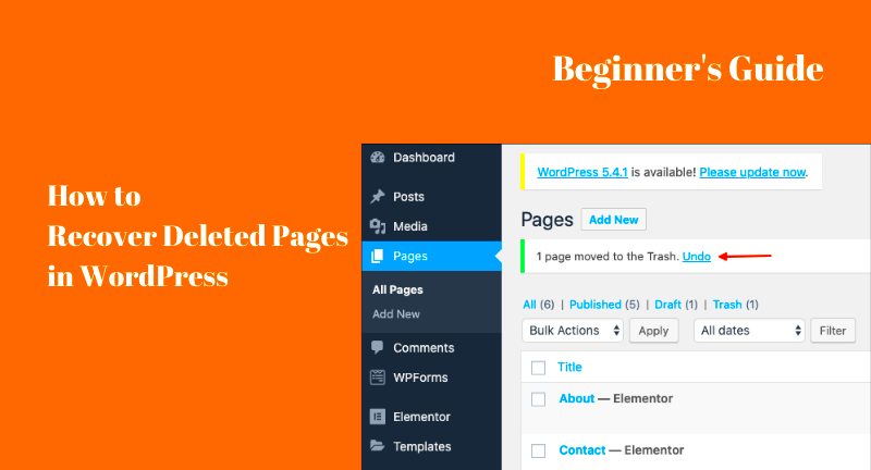 How To Recover Deleted Pages In WordPress  4 Methods Explained 