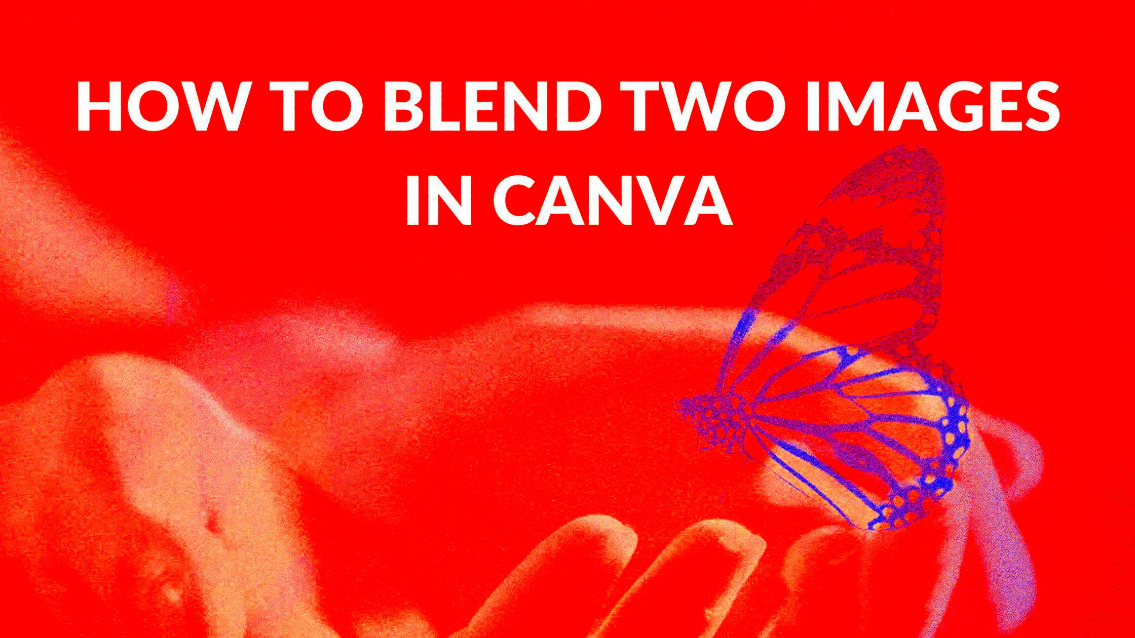 How to Blend Two Images in Canva  Blogging Guide