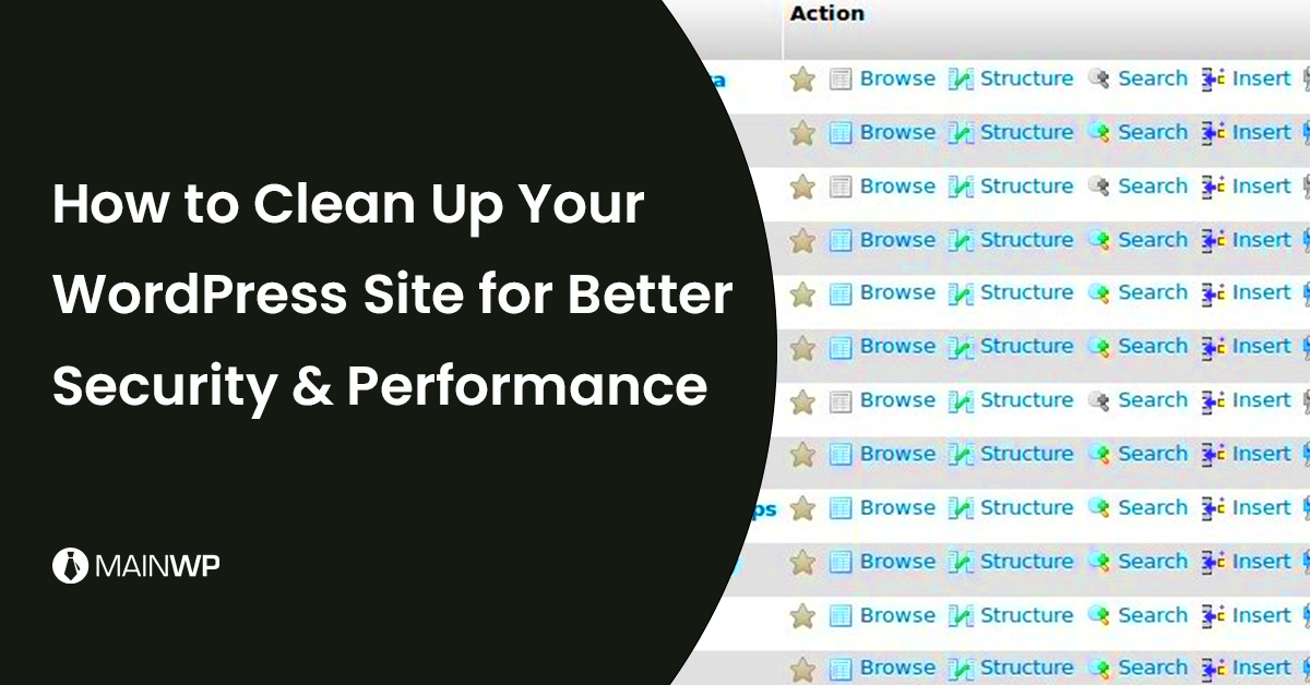 How to Clean Up WordPress Site for Better Performance  MainWP 