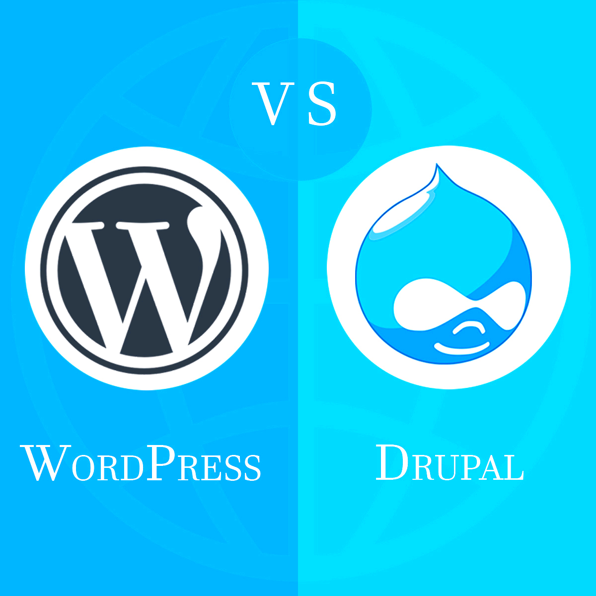 WordPress vs Drupal difference  professional web developer