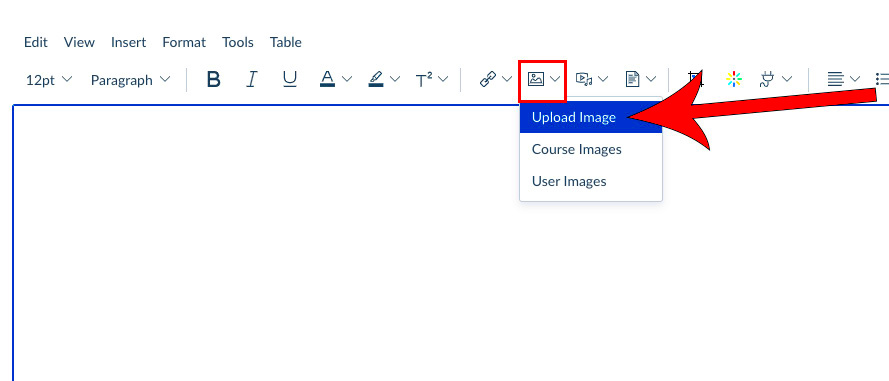 Embed Image in a Canvas Discussion  USU