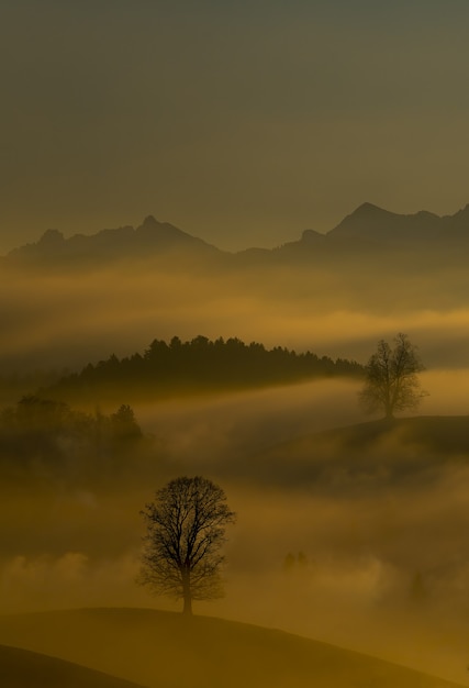 Mist and Mountains – Free Stock Photo for Download