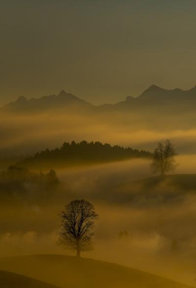 Mist and Mountains – Free Stock Photo for Download