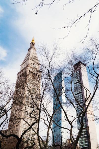 Scenic View Through Dry Trees to Urban Skyscrapers – Free Stock Photo, Download for Free