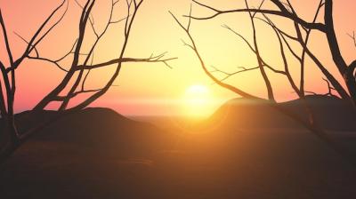 3D Sunset Landscape with Silhouetted Trees – Free Download